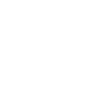Icons 3
